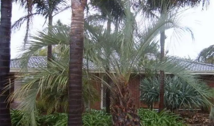 Main view of Homely house listing, 18 Newlyn Way, Coodanup WA 6210