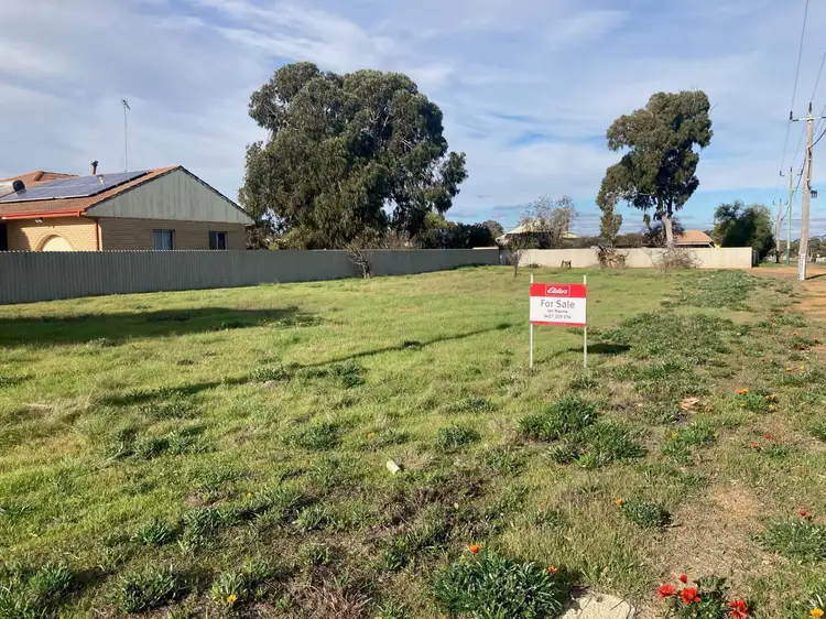 103 Avon  Street, Katanning WA 6317