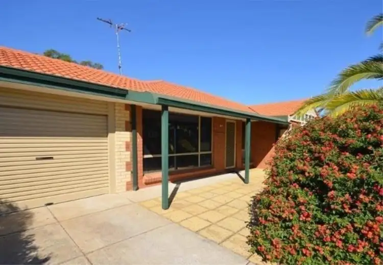 Main view of Homely house listing, 19 Waldron Boulevard, Greenfields WA 6210