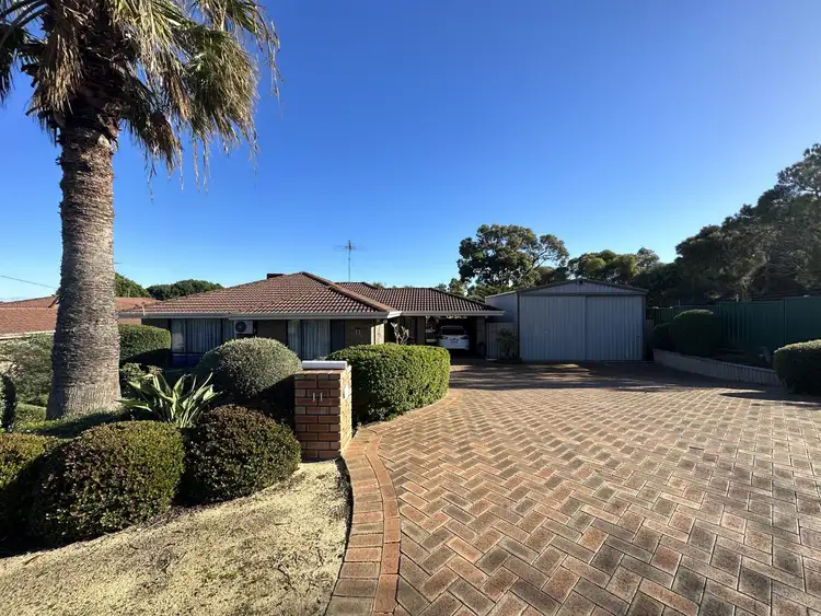 Main view of Homely house listing, 11 Busycon Place, Heathridge WA 6027