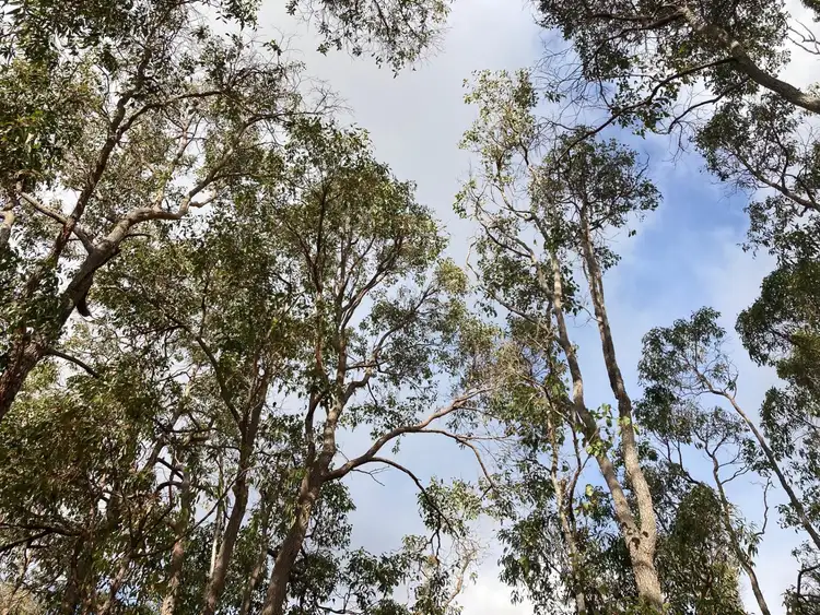 Third view of Homely land listing, Lot 14, Bin Road, Qualeup WA 6394