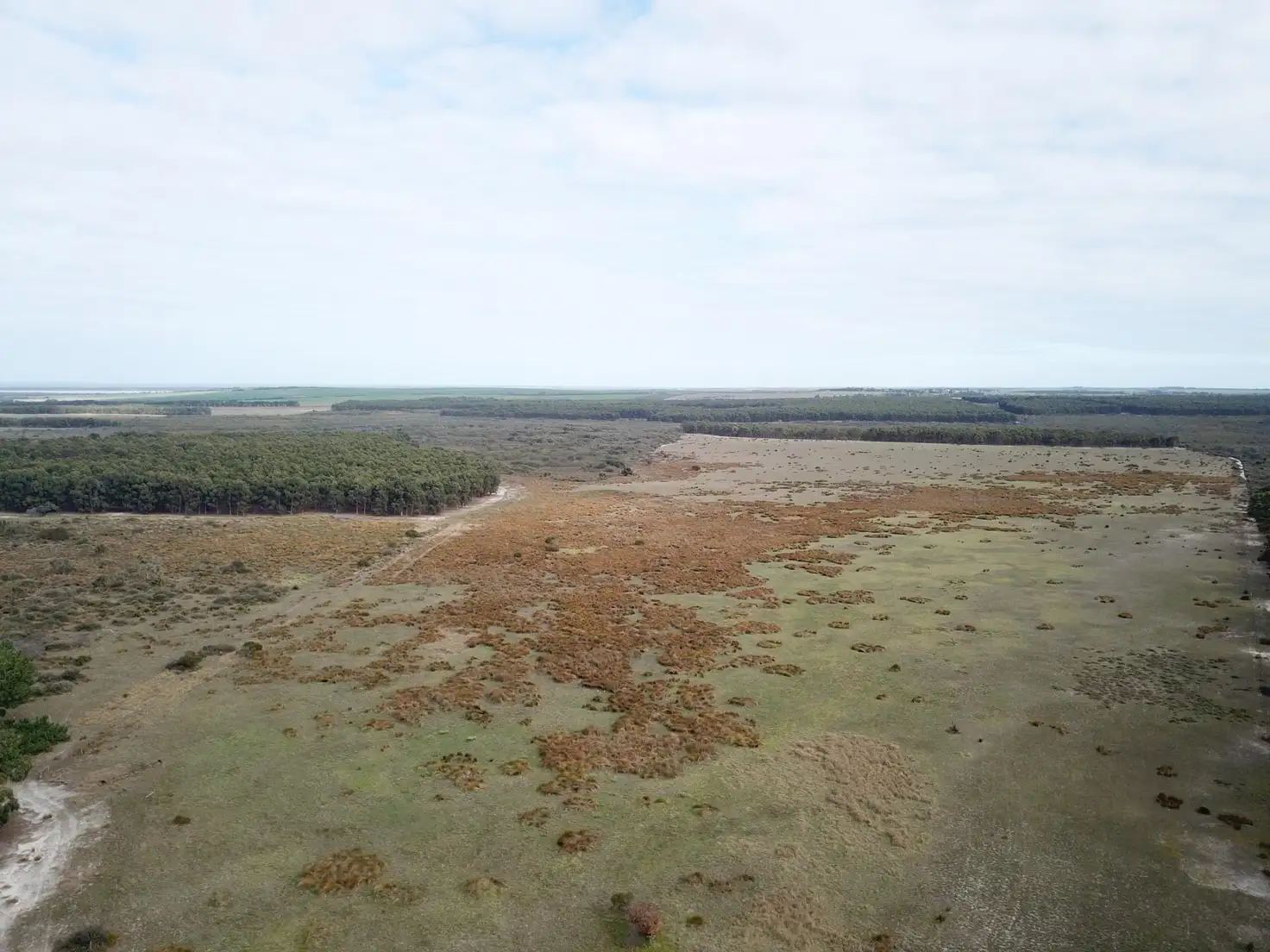 Main view of Homely rural property listing, 754 Coxall Road, Munglinup WA 6450