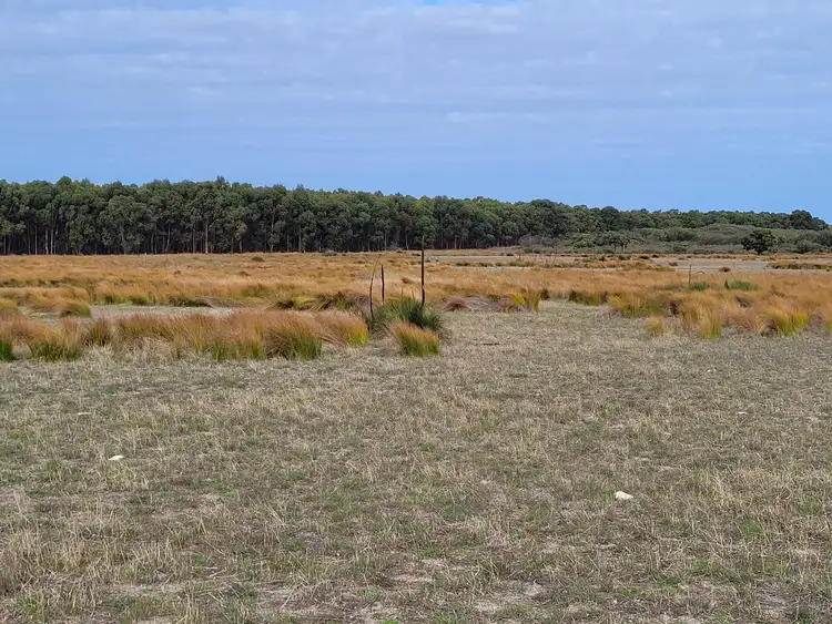 Third view of Homely rural property listing, 754 Coxall Road, Munglinup WA 6450
