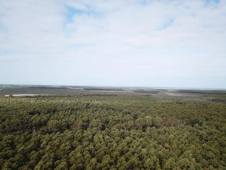 Seventh view of Homely rural property listing, 754 Coxall Road, Munglinup WA 6450