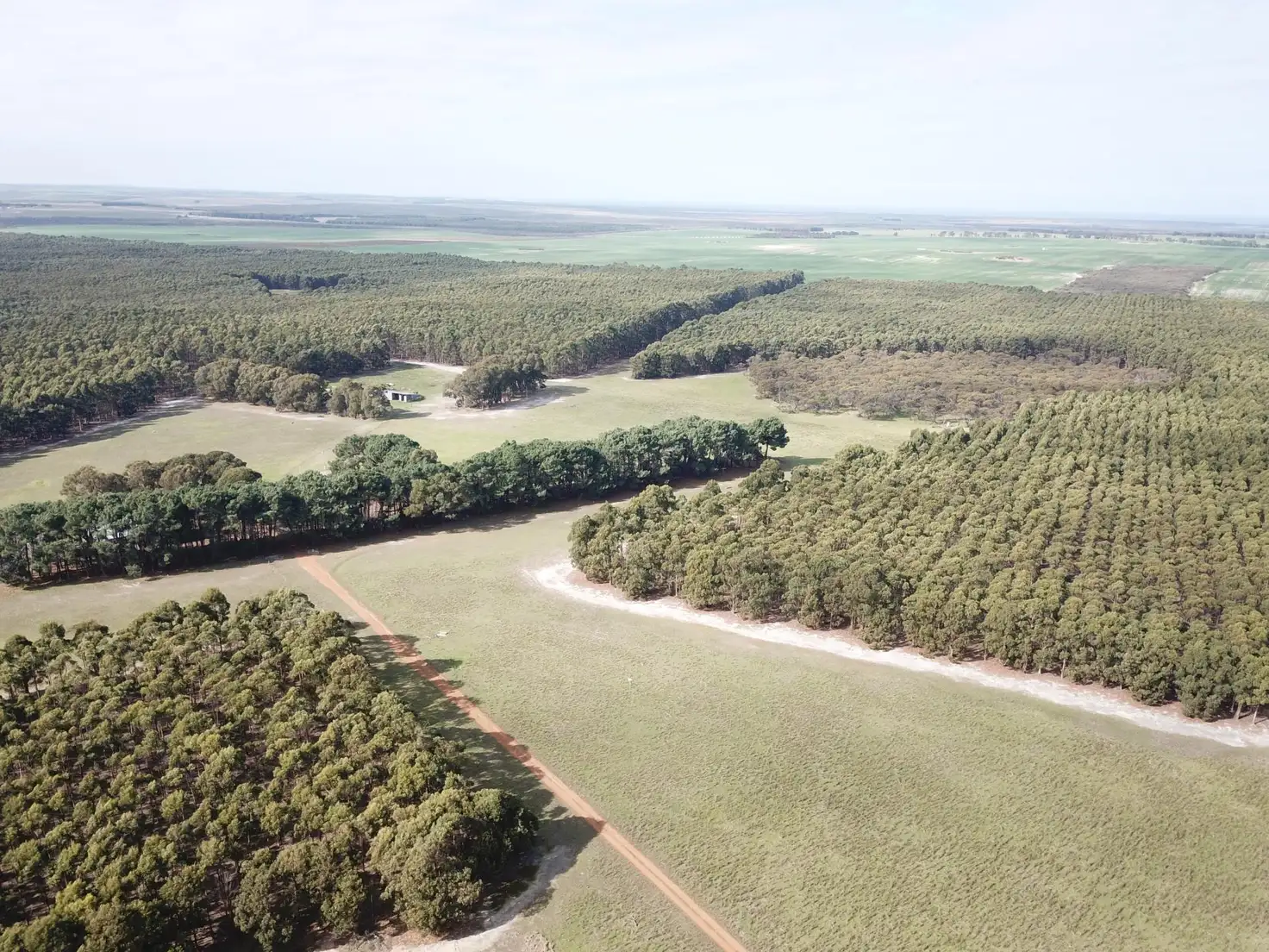 Main view of Homely rural property listing, 993 & 1293 Coxall Road, Munglinup WA 6450