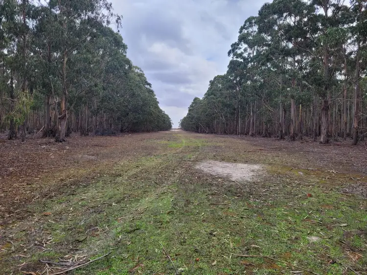 Fourth view of Homely rural property listing, 993 & 1293 Coxall Road, Munglinup WA 6450