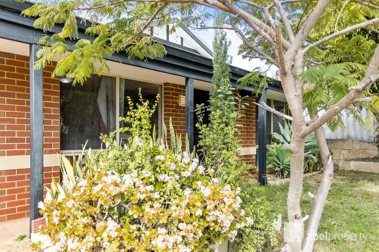 Main view of Homely house listing, 12 Ainsbury Parade, Clarkson WA 6030
