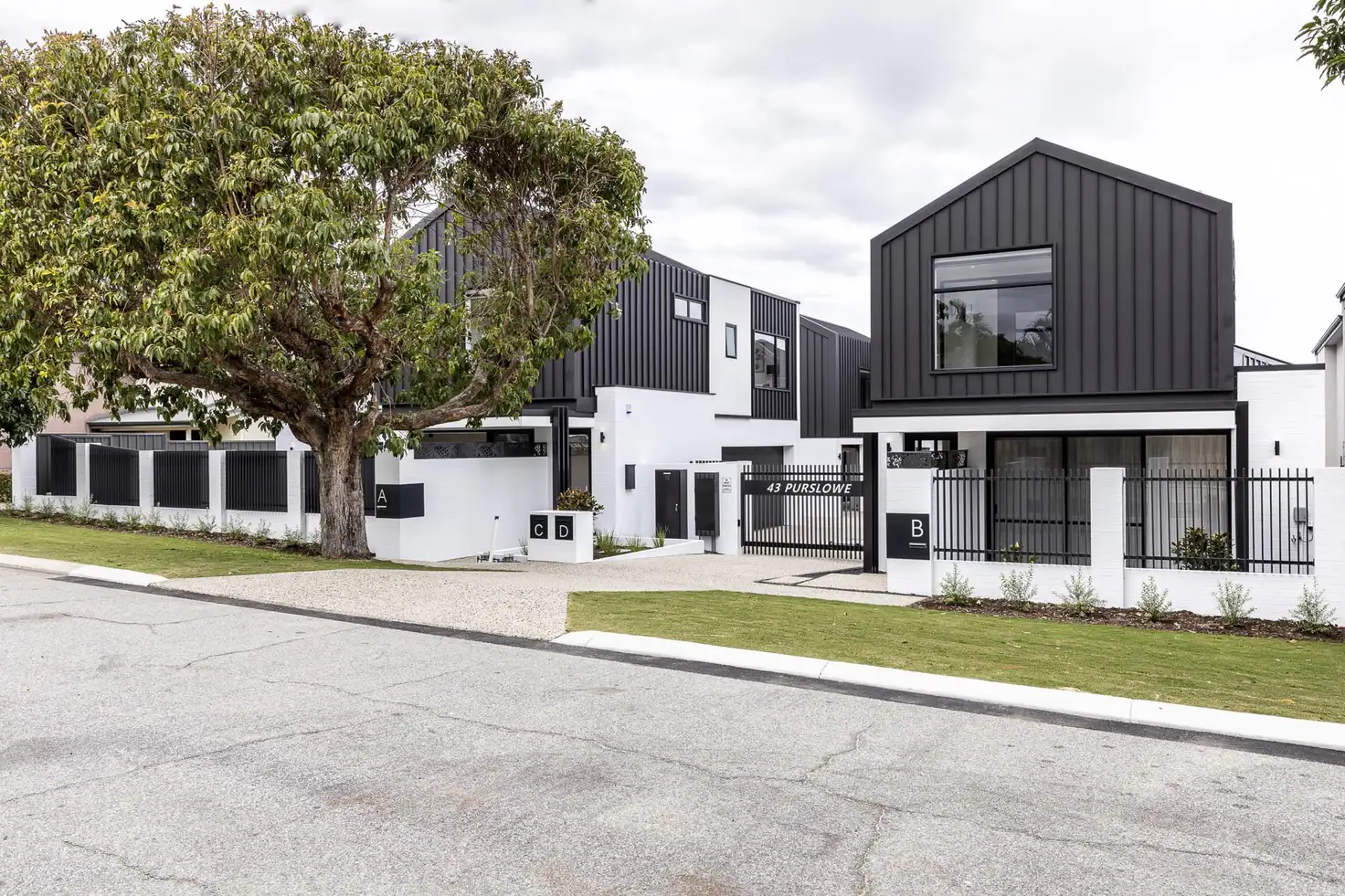Main view of Homely house listing, 43B Purslowe Street, Mount Hawthorn WA 6016