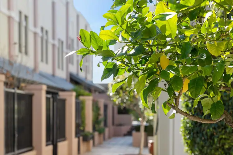 73/1 Station Street, Subiaco WA 6008