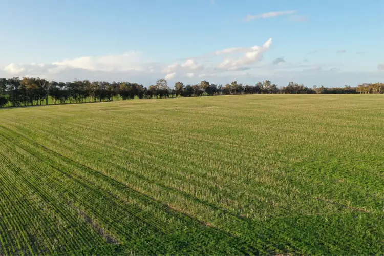 Second view of Homely rural property listing, 4127 Boyup Brook- Kojonup Road, Scotts Brook WA 6244