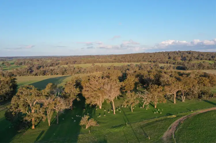 Third view of Homely rural property listing, 4127 Boyup Brook- Kojonup Road, Scotts Brook WA 6244