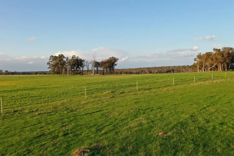 Fourth view of Homely rural property listing, 4127 Boyup Brook- Kojonup Road, Scotts Brook WA 6244