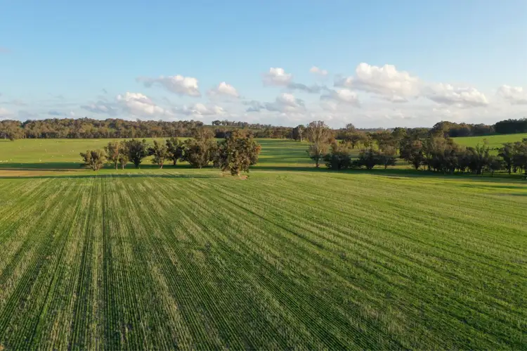 Fifth view of Homely rural property listing, 4127 Boyup Brook- Kojonup Road, Scotts Brook WA 6244