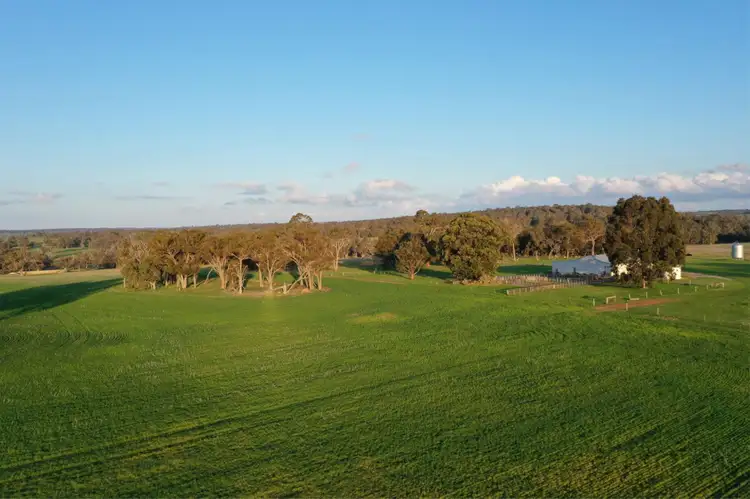 Sixth view of Homely rural property listing, 4127 Boyup Brook- Kojonup Road, Scotts Brook WA 6244