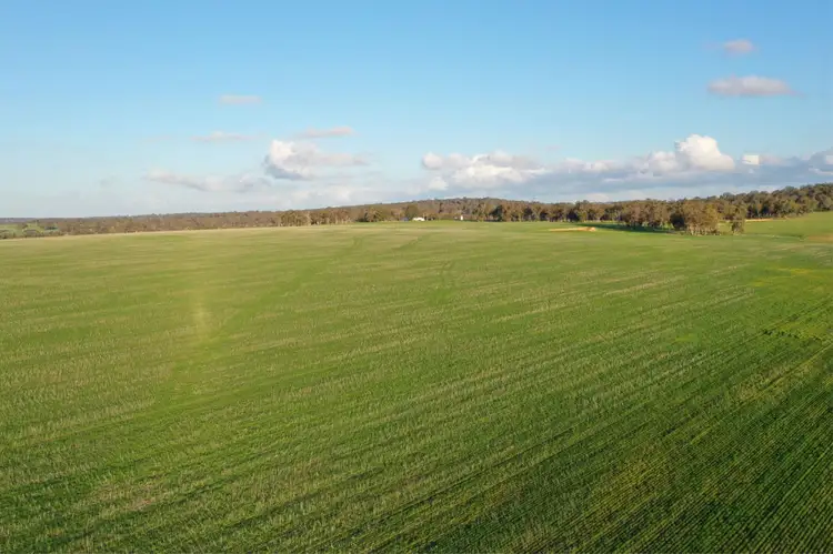 Seventh view of Homely rural property listing, 4127 Boyup Brook- Kojonup Road, Scotts Brook WA 6244