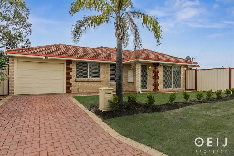 Main view of Homely house listing, 1 Wedge Place, Bentley WA 6102