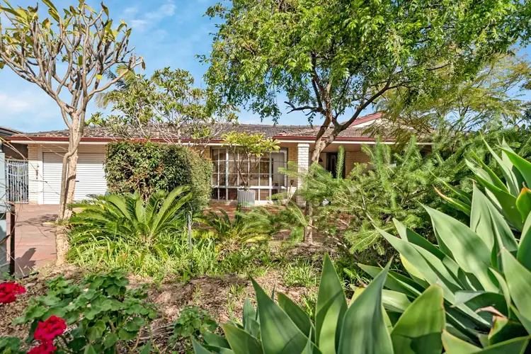 22 Jardine Street, Stirling WA 6021