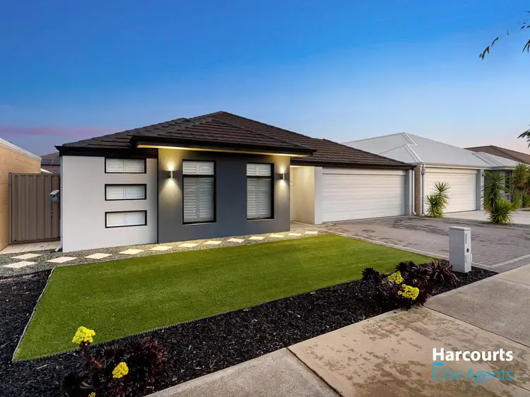 38 Appaloosa Drive, Baldivis WA 6171