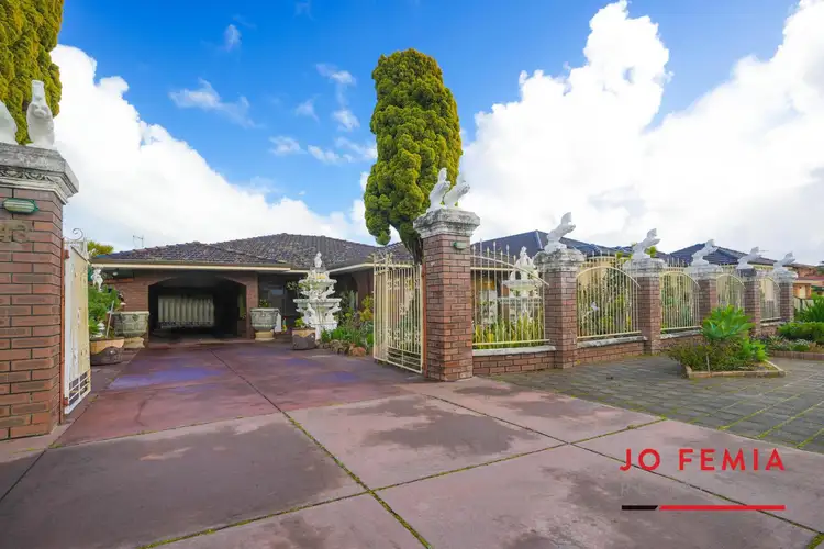 Main view of Homely house listing, 43 Corella Street, Stirling WA 6021