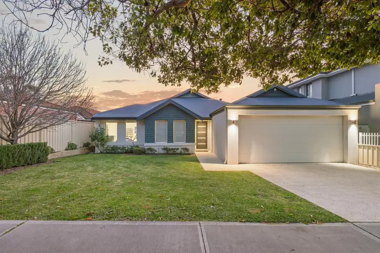 153 Flamborough Street, Doubleview WA 6018