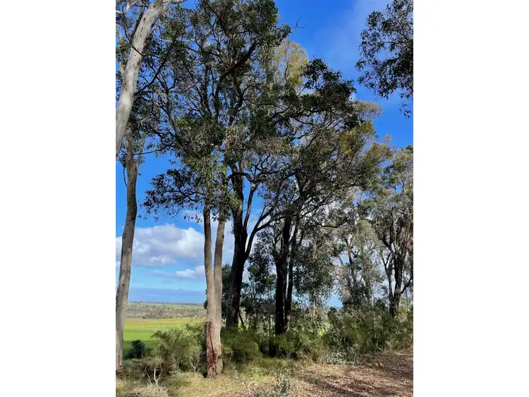 Seventh view of Homely rural property listing, Lot 12375 Cranbrook Boyup Brook Road, Tonebridge WA 6244