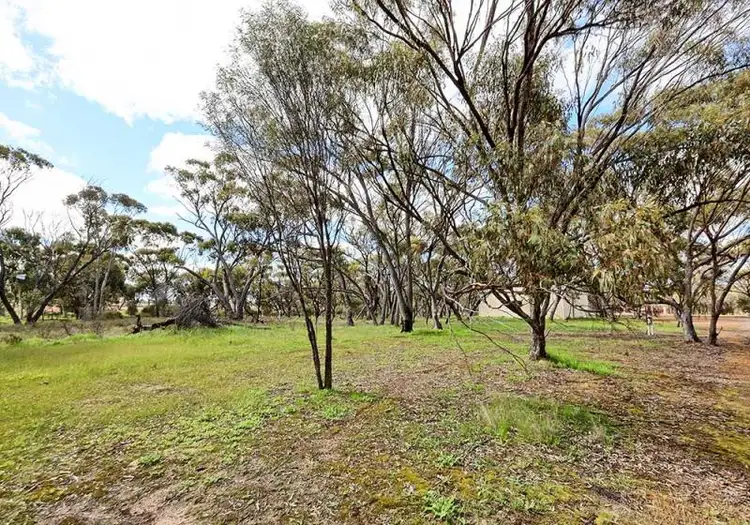 Seventh view of Homely land listing, 13 Joyner Street, Wickepin WA 6370