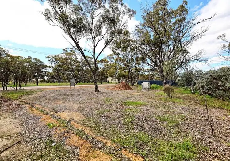 Fifth view of Homely land listing, 10 Joyner Street, Wickepin WA 6370