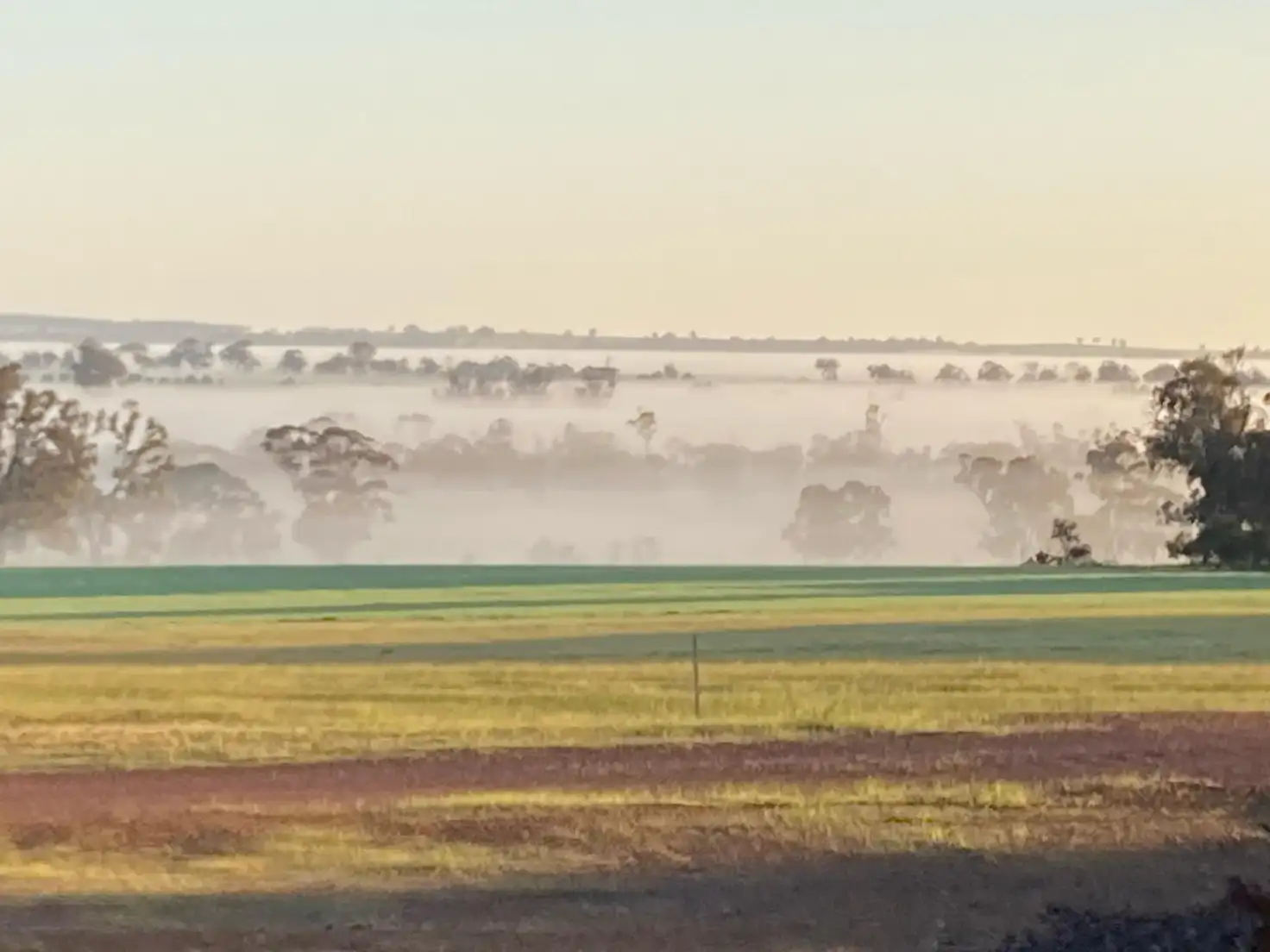 Main view of Homely land listing, 736 Flat Rocks Road, Broomehill West WA 6318