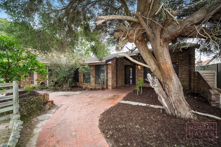 Second view of Homely house listing, 11 Earlston Place, Booragoon WA 6154