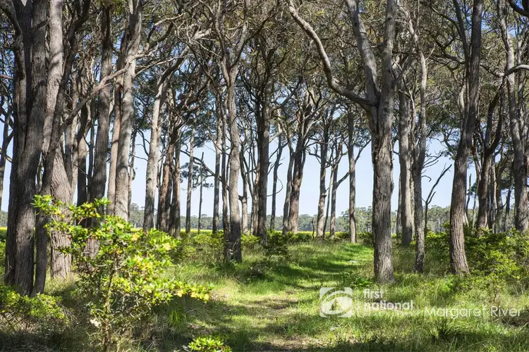 Fifth view of Homely rural property listing, 1001/351 Redgate Road, Margaret River WA 6285