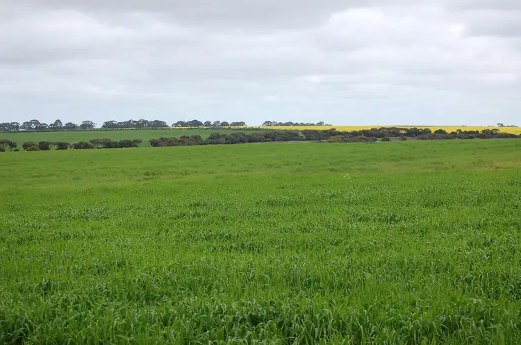 Third view of Homely rural property listing, South-coast Highway, Munglinup WA 6450