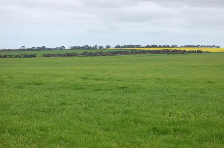 Fifth view of Homely rural property listing, South-coast Highway, Munglinup WA 6450