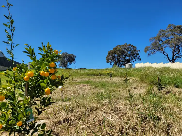 Main view of Homely land listing, Lot 9, Myrtle Way, Bindoon WA 6502