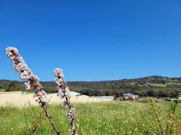Sixth view of Homely land listing, Lot 9, Myrtle Way, Bindoon WA 6502