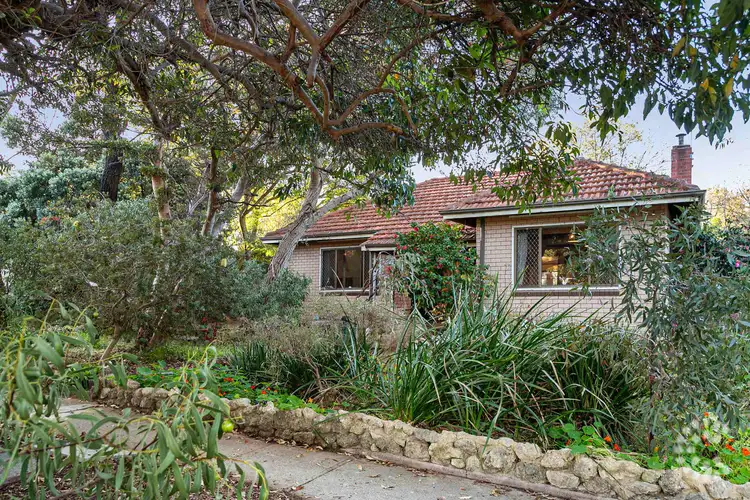 Main view of Homely house listing, 44 Chadwick Street, Hilton WA 6163