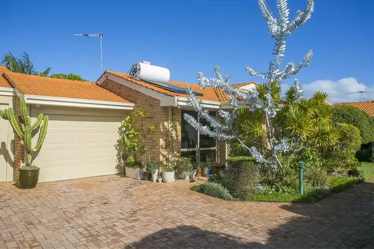 Main view of Homely villa listing, 3-77 Wattle Street, Tuart Hill WA 6060