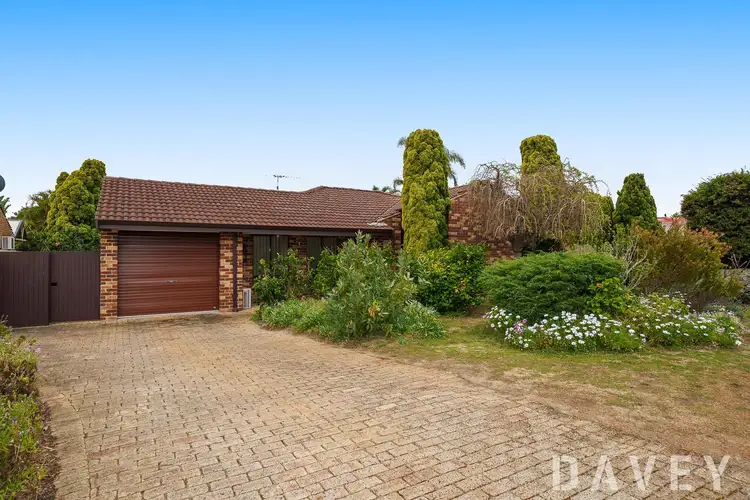 14 Cinnabar Place, Carine WA 6020