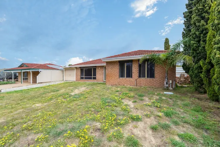 Second view of Homely house listing, 6 Nettle Terrace, Mirrabooka WA 6061