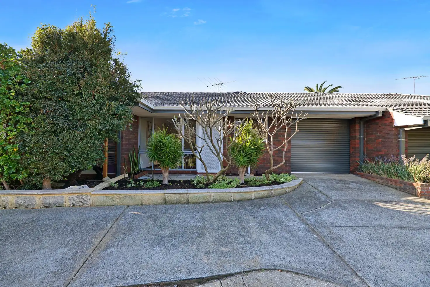 Main view of Homely house listing, 5/12 Hastings Street, Scarborough WA 6019