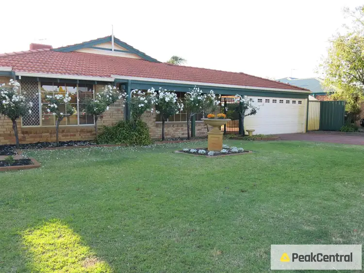 17 Bodella Gardens, Atwell WA 6164
