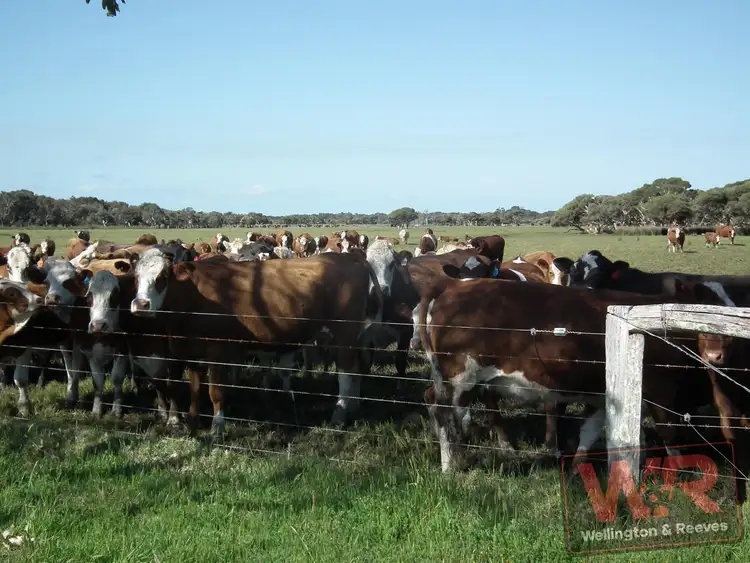Seventh view of Homely rural property listing, 406 Eden Road, Youngs Siding WA 6330