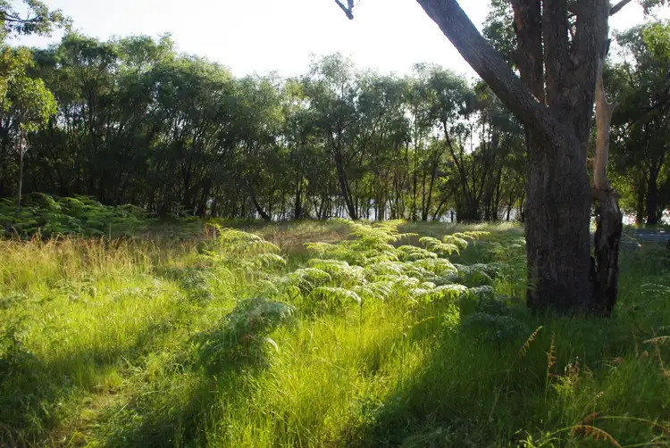 Second view of Homely land listing, 54/115 Rigg Road, Myalup WA 6220