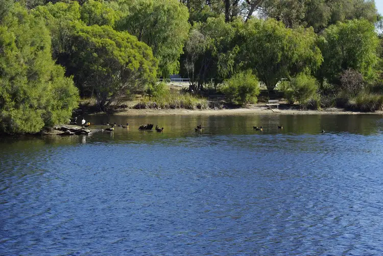 Fifth view of Homely land listing, 54/115 Rigg Road, Myalup WA 6220