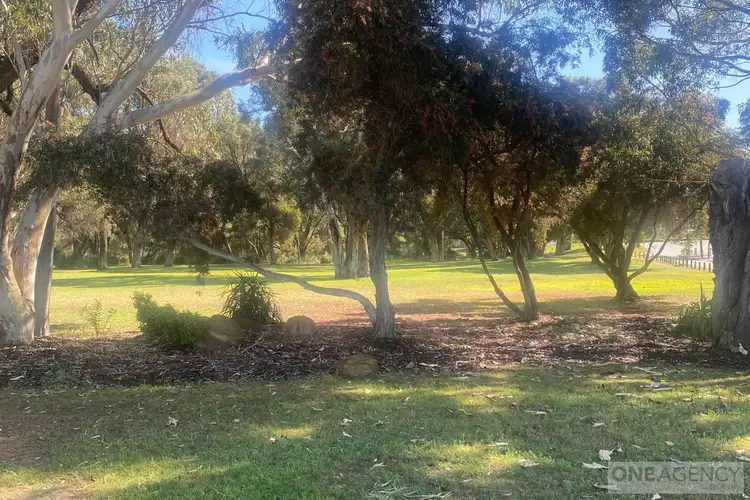 Sixth view of Homely land listing, 98 Craigie Drive, Craigie WA 6025