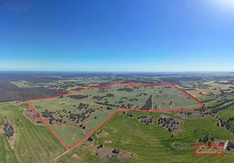 Main view of Homely rural property listing, Herdigan Road, Wandering WA 6308