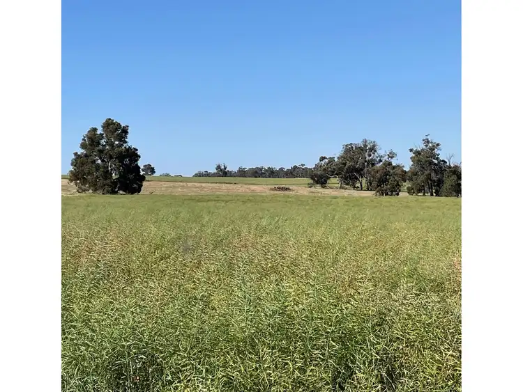 Fifth view of Homely rural property listing, Herdigan Road, Wandering WA 6308