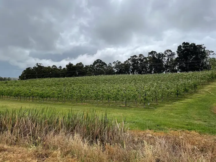 Third view of Homely rural property listing, 19974 South Western  Highway, Newlands WA 6251