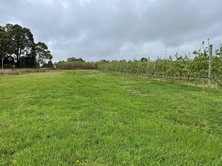 Fourth view of Homely rural property listing, 19974 South Western  Highway, Newlands WA 6251