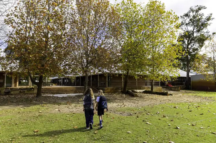 Lot 563, 22 Tarwhine Drive, Vasse WA 6280
