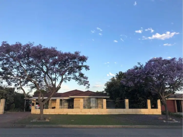 Main view of Homely house listing, 11 Broadhurst Crescent, Bateman WA 6150
